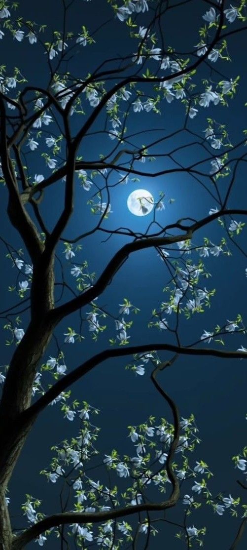 महफ़िल में जिनके आने से रोशन हुए चिराग 
सजदे में जिनके झुक गया खुद देखो आफताब